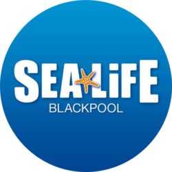 Sea Life - Blackpool