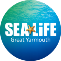 Sea Life - Great Yarmouth