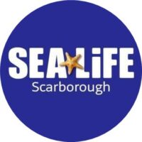 Sea Life - Scarborough