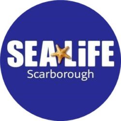 Sea Life - Scarborough