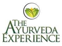 The Ayurveda Experience